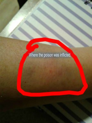 pizap.com14963802515431